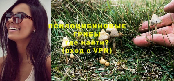 стаф Мегион