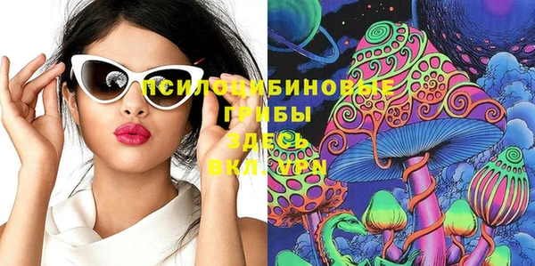 стаф Мегион